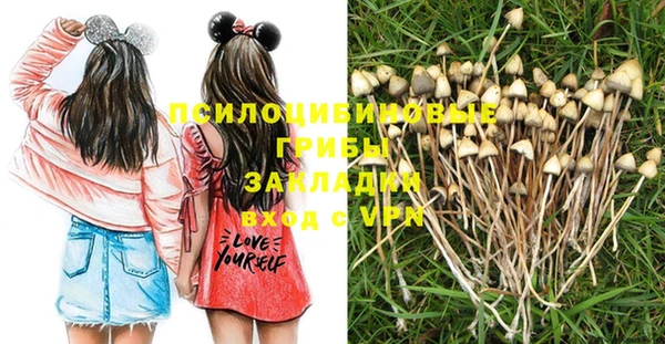 спиды Козельск